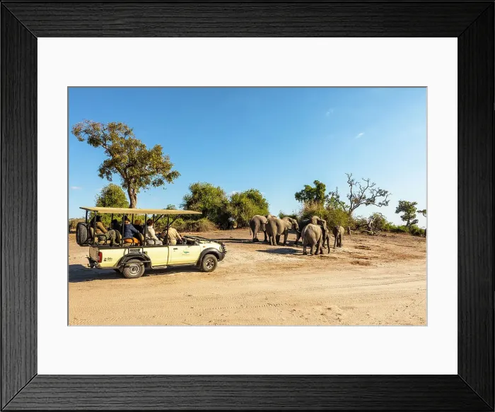 Framed Print : Safari in Chobe National Park, Botswana, Africa