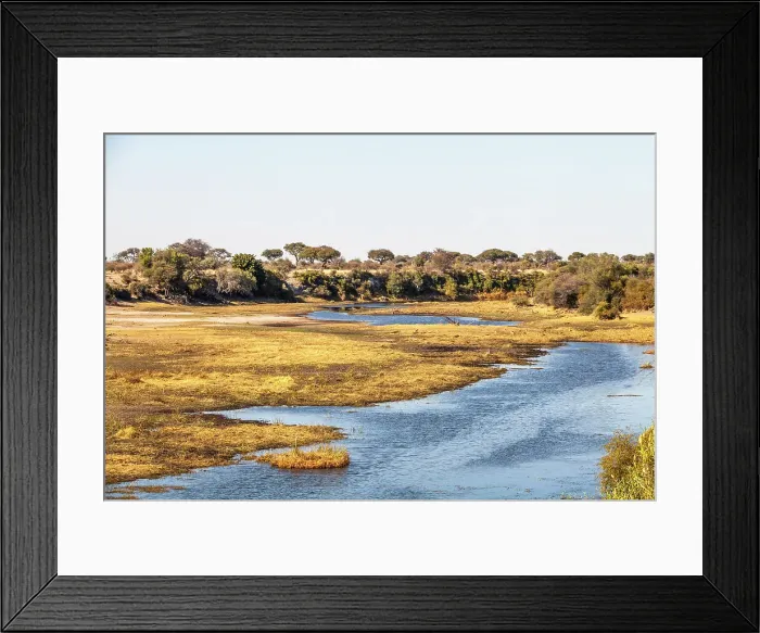 Framed Print : Makgadikgadi Pans National Park, Makadikadi Basin, Boteti River, Botswana, Africa Framed Print : Makgadikgadi Pans National Park, Makadikadi Basin, Boteti River, Botswana, Africa