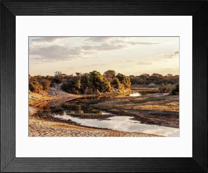 Framed Print : Makgadikgadi Pans National Park, Makadikadi Basin, Boteti River, Botswana, Africa Framed Print : Makgadikgadi Pans National Park, Makadikadi Basin, Boteti River, Botswana, Africa
