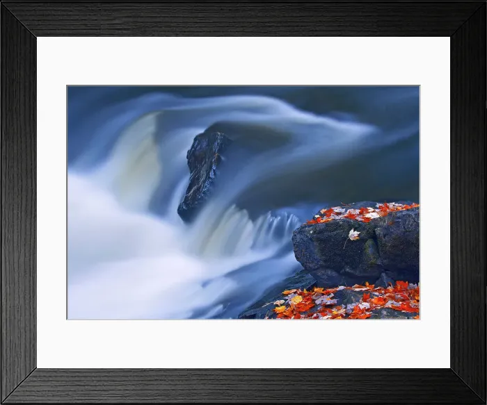 Framed Print : Maple leaves on the shore of the Magnetewan River at Brooks Falls Emsdale, Ontario, Canada Framed Print : Maple leaves on the shore of the Magnetewan River at Brooks Falls Emsdale, Ontario, Canada