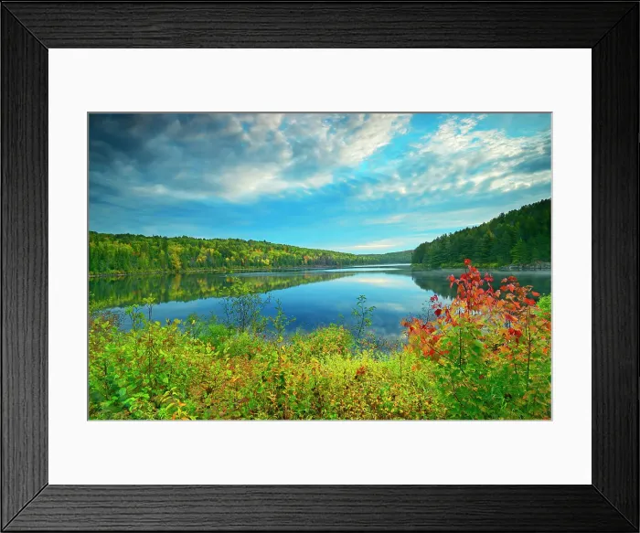 Framed Print : Costello Lake Algonquin Provincial Park, Ontario, Canada Framed Print : Costello Lake Algonquin Provincial Park, Ontario, Canada