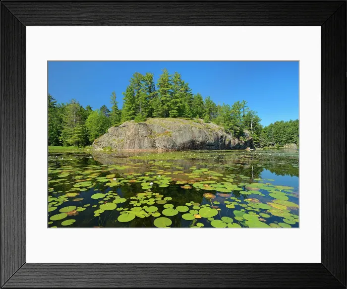 Framed Print : Water lilies, white Pine trees and precambrian rock at Freeland Lake Killarney Provincial Park, Ontario, Canada Framed Print : Water lilies, white Pine trees and precambrian rock at Freeland Lake Killarney Provincial Park, Ontario, Canada