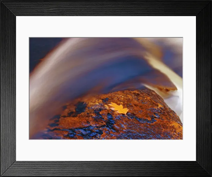Framed Print : Oak leaf and Rosseau River Rosseau, Ontario, Canada Framed Print : Oak leaf and Rosseau River Rosseau, Ontario, Canada