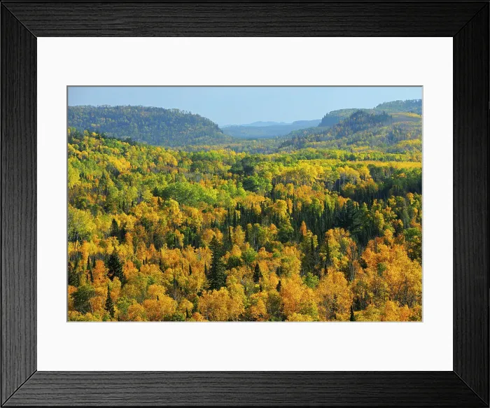 Framed Print : Overview of autumn colored forest in Neebing County South of Thunder Bay, Ontario, Canada Framed Print : Overview of autumn colored forest in Neebing County South of Thunder Bay, Ontario, Canada