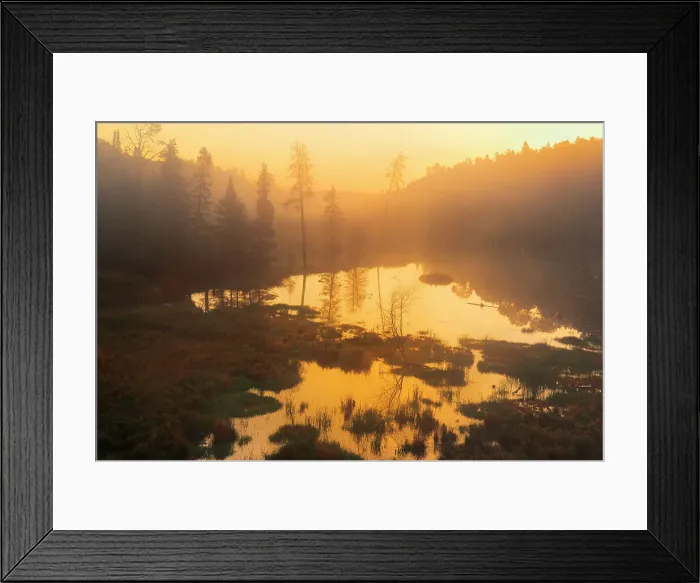 Framed Print : Sunrise over boreal forest and wetland Kenora, Ontario, Canada Kenora, Ontario, Canada Framed Print : Sunrise over boreal forest and wetland Kenora, Ontario, Canada Kenora, Ontario, Canada