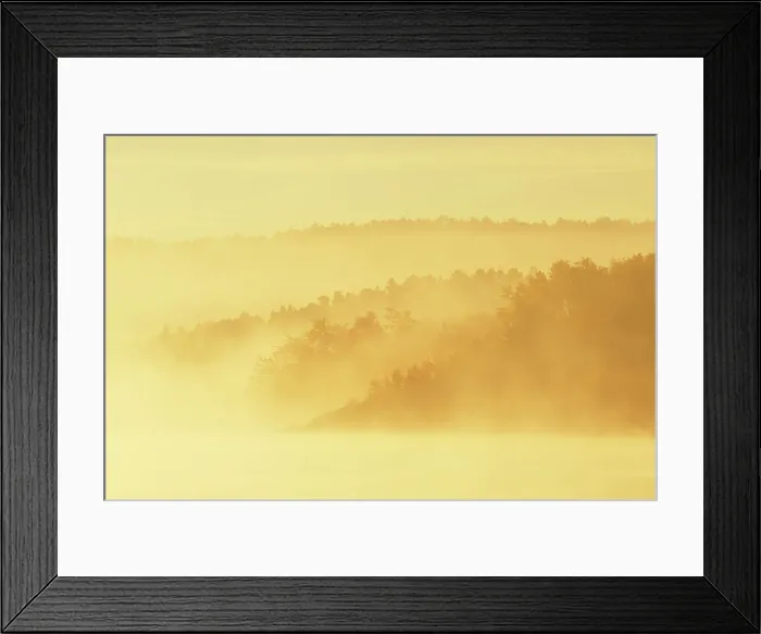 Framed Print : Fog along the Vermillion River at sunrise Whitefish, Ontario, Canada Framed Print : Fog along the Vermillion River at sunrise Whitefish, Ontario, Canada