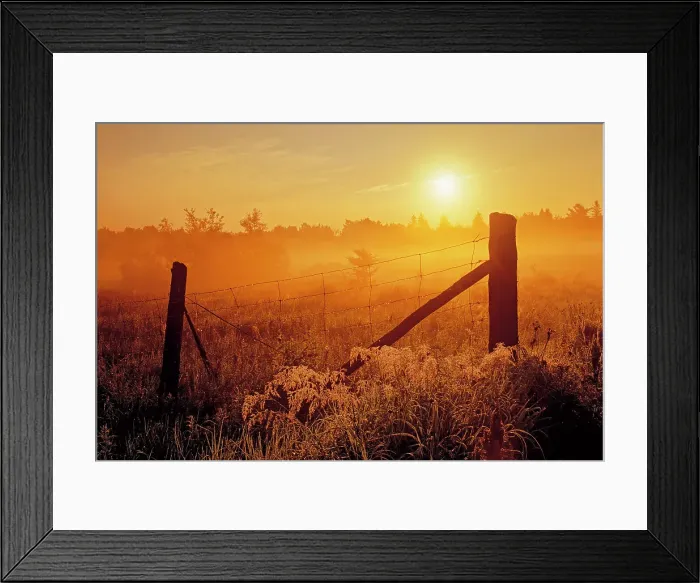 Framed Print : Fence at sunrise in fog Estaire, Ontario, Canada Framed Print : Fence at sunrise in fog Estaire, Ontario, Canada