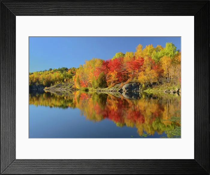 Framed Print : Reflection in Simon Lake. Simon Lake Park Conservation Area. Naughton, Ontario, Canada Framed Print : Reflection in Simon Lake. Simon Lake Park Conservation Area. Naughton, Ontario, Canada