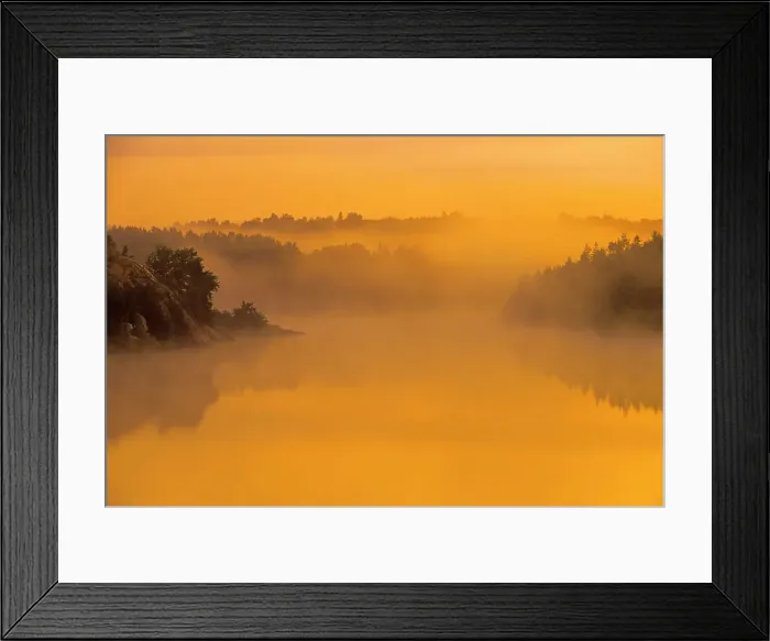 Framed Print : Trees in morning fog Whitefish, Ontario, Canada Framed Print : Trees in morning fog Whitefish, Ontario, Canada