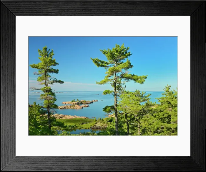 Framed Print : White pines and Georgian Bay Killarney Provincial Park, Ontario, Canada Framed Print : White pines and Georgian Bay Killarney Provincial Park, Ontario, Canada