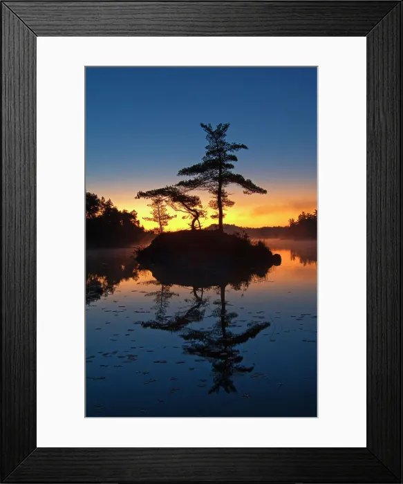Framed Print : White pine trees on island in McGregor Bay (Georgian Bay) at dawn Whitefish Falls, Ontario, Canada Framed Print : White pine trees on island in McGregor Bay (Georgian Bay) at dawn Whitefish Falls, Ontario, Canada