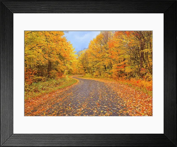 Framed Print : Country road with hardwood forest in autumn colors Goulais River, Ontario, Canada Framed Print : Country road with hardwood forest in autumn colors Goulais River, Ontario, Canada