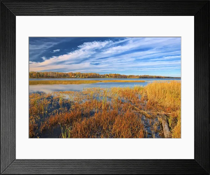 Framed Print : Autumn Lake of the Woods Rainy River, Ontario, Canada Framed Print : Autumn Lake of the Woods Rainy River, Ontario, Canada
