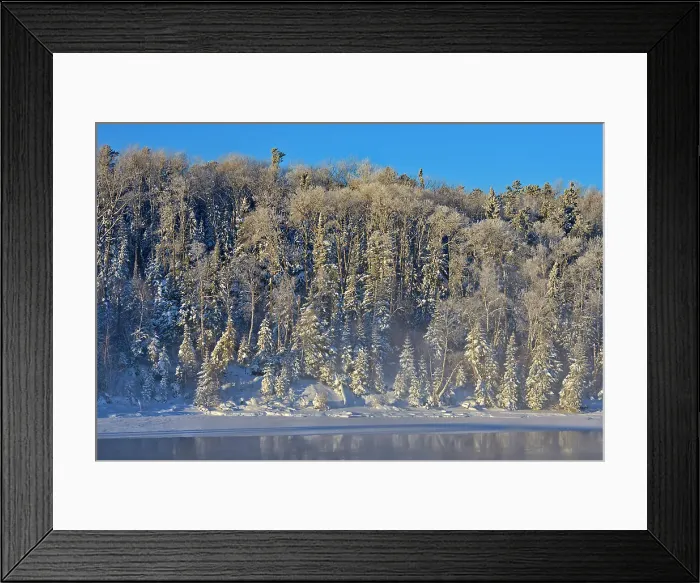 Framed Print : Hoarfrost on trees. Lac Seul Ear Falls, Ontario, Canada