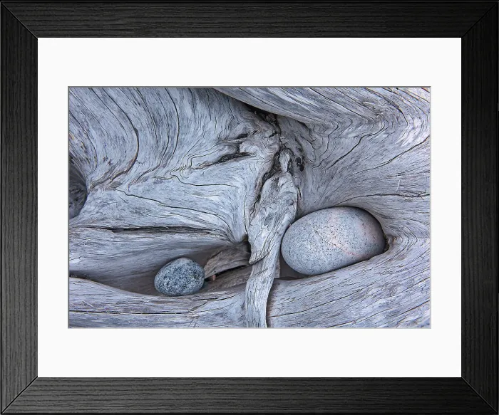 Framed Print : Rocks in driftwood on Pebble Beach Marathon, Ontario, Canada Framed Print : Rocks in driftwood on Pebble Beach Marathon, Ontario, Canada