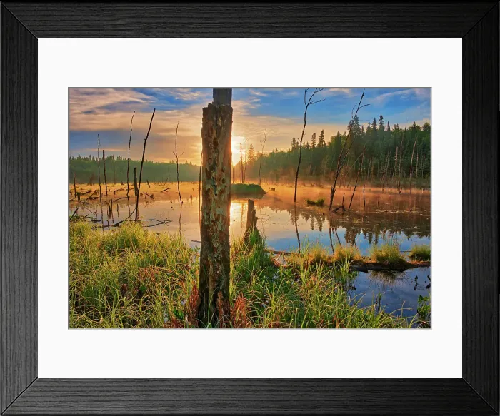 Framed Print : Wetland at sunrise on Kendall Inlet Road Kenora, Ontario, Canada Framed Print : Wetland at sunrise on Kendall Inlet Road Kenora, Ontario, Canada