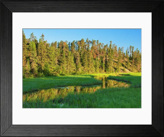 Framed Print : Log Creek Nestor Falls, Ontario, Canada Framed Print : Log Creek Nestor Falls, Ontario, Canada