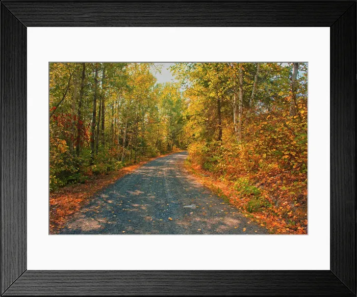 Framed Print : Country road in autumn colors near Middle Lake Kenora, Ontario, Canada Framed Print : Country road in autumn colors near Middle Lake Kenora, Ontario, Canada