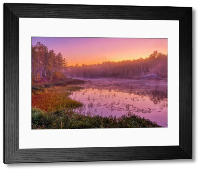 Framed Print : Dawn light on marsh adjacent Lake Laurentian. Lake Laurentian Conservation Area. Sudbury, Ontario, Canada Framed Print : Dawn light on marsh adjacent Lake Laurentian. Lake Laurentian Conservation Area. Sudbury, Ontario, Canada