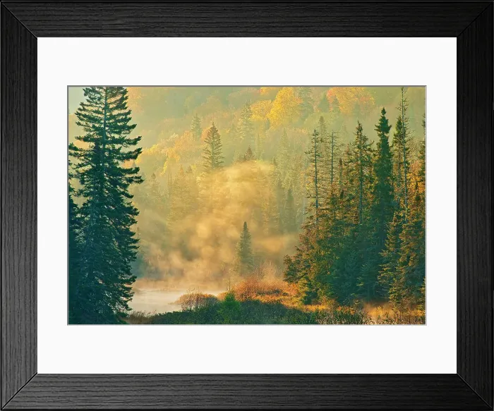 Framed Print : Morning fog rising above a creek in the boreal forest. Lake Superior Provincial Park, Ontario, Canada Framed Print : Morning fog rising above a creek in the boreal forest. Lake Superior Provincial Park, Ontario, Canada