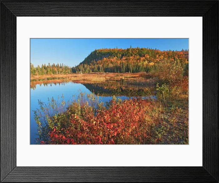 Framed Print : Unamed lake in autumn, Lake Superior Provincial Park, Ontario, Canada Framed Print : Unamed lake in autumn, Lake Superior Provincial Park, Ontario, Canada