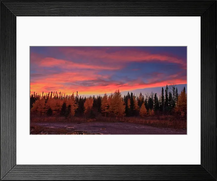 Framed Print : Clouds at sunset over the boreal forest Near Longlac, Ontario, Canada Framed Print : Clouds at sunset over the boreal forest Near Longlac, Ontario, Canada