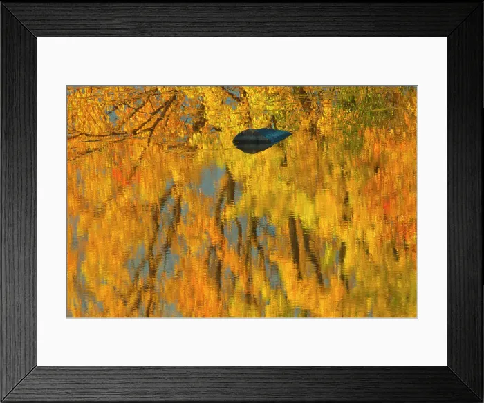 Framed Print : Morning fog at sunrise on the Vermilion River Whitefish, Ontario, Canada
