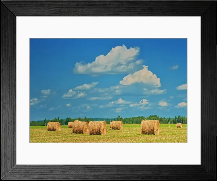 Framed Print : Bales and clouds New Liskeard, Ontario, Canada Framed Print : Bales and clouds New Liskeard, Ontario, Canada