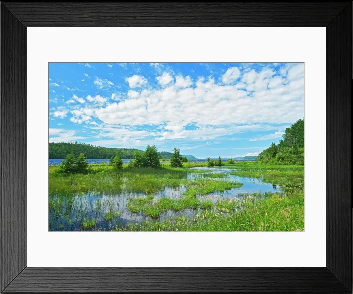 Framed Print : Clouds and wetland at Lake Nipigon in the boreal forest Near Macdiarmid, Ontario, Canada Framed Print : Clouds and wetland at Lake Nipigon in the boreal forest Near Macdiarmid, Ontario, Canada