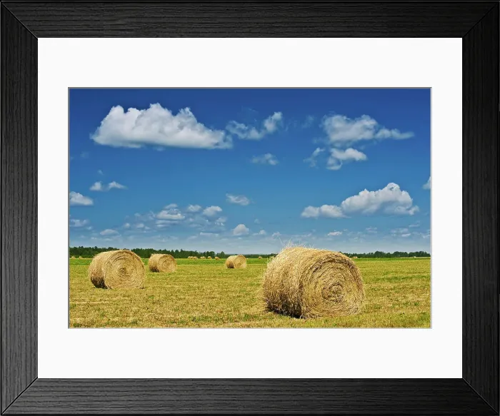 Framed Print : bales New Liskeard, Ontario, Canada Framed Print : bales New Liskeard, Ontario, Canada