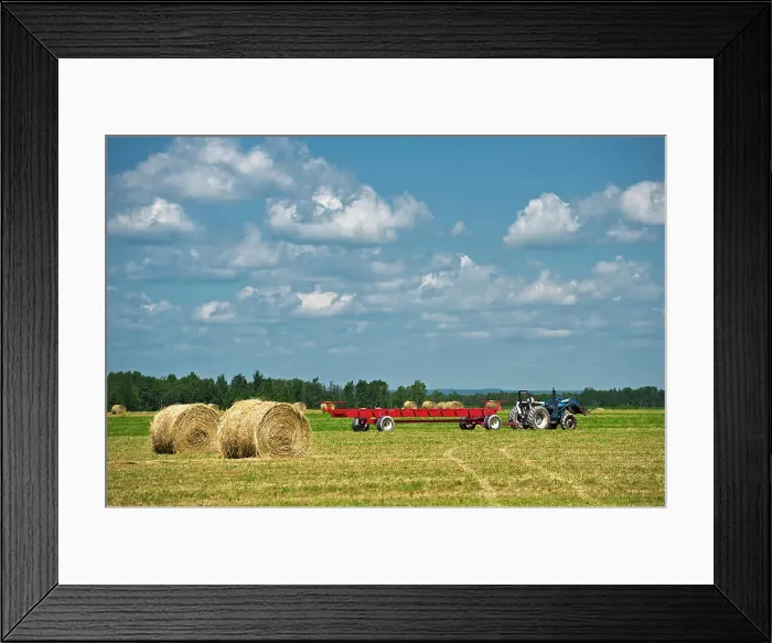 Framed Print : hauling bales New Liskeard, Ontario, Canada Framed Print : hauling bales New Liskeard, Ontario, Canada