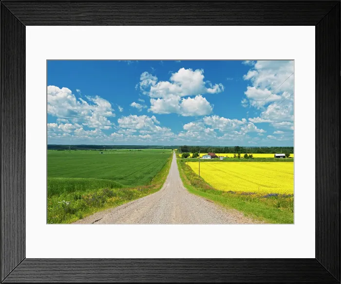 Framed Print : Wheat and canola fields lining a country road New Liskeard, Ontario, Canada