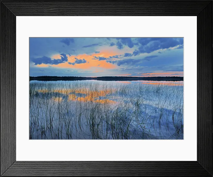 Framed Print : Sunset on Carey Lake Hearst, Ontario, Canada Framed Print : Sunset on Carey Lake Hearst, Ontario, Canada