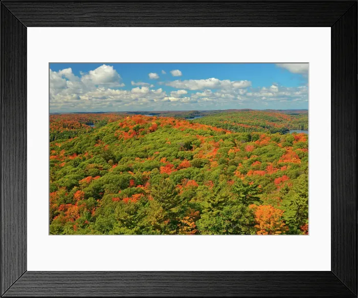 Framed Print : Biew of mixedwood forest in autumn colors as seen from the top of the Dorset fire tower Dorset, Ontario, Canada Framed Print : Biew of mixedwood forest in autumn colors as seen from the top of the Dorset fire tower Dorset, Ontario, Canada
