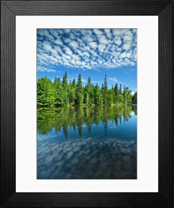 Framed Print : clouds and trees reflected in Tea Lake Algonquin Provincial Park, Ontario, Canada Framed Print : clouds and trees reflected in Tea Lake Algonquin Provincial Park, Ontario, Canada