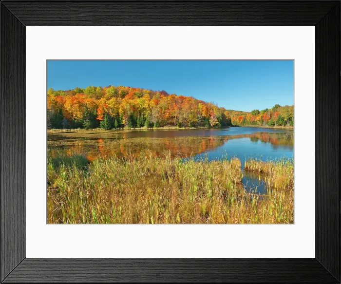 Framed Print : Fall colors at Potash Lake Nera Bancroft, Ontario, Canada Framed Print : Fall colors at Potash Lake Nera Bancroft, Ontario, Canada