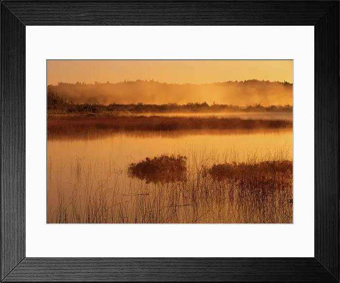 Framed Print : Fog at sunrise in the Vermilion River. Capreol, Ontario, Canada Framed Print : Fog at sunrise in the Vermilion River. Capreol, Ontario, Canada