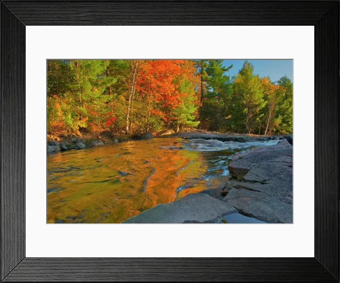 Framed Print : Maple Trees reflected in the Rosseau River at Lower Rosseau Falls in autumn Rosseau, Ontario, Canada Framed Print : Maple Trees reflected in the Rosseau River at Lower Rosseau Falls in autumn Rosseau, Ontario, Canada