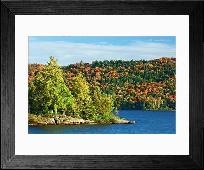 Framed Print : Autumn colors at Lake of Two Rivers Algonquin Provincial Park, Ontario, Canada Framed Print : Autumn colors at Lake of Two Rivers Algonquin Provincial Park, Ontario, Canada