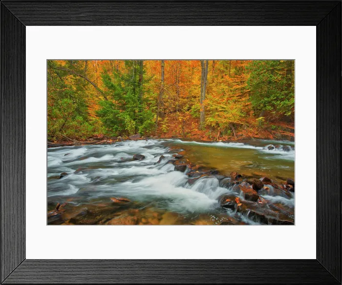 Framed Print : The Skeleton River at Hatchery Falls in autumn Rosseau, Ontario, Canada