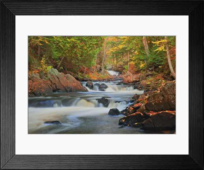 Framed Print : Maple trees on the shore of the Magnetewan River at Brooks Falls Emsdale, Ontario, Canada Framed Print : Maple trees on the shore of the Magnetewan River at Brooks Falls Emsdale, Ontario, Canada