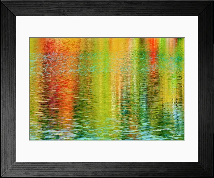 Framed Print : Reflection of autumn colored trees of hradwood forest in St. Poithier Lake Worthington, Ontario, Canada Framed Print : Reflection of autumn colored trees of hradwood forest in St. Poithier Lake Worthington, Ontario, Canada
