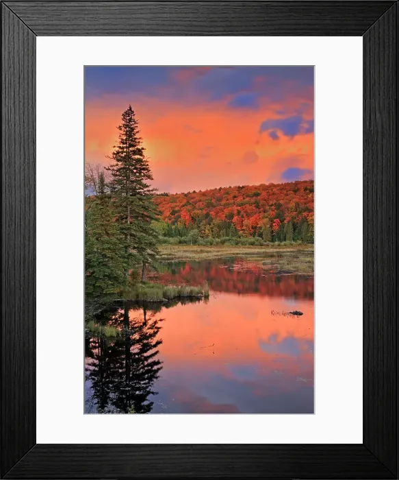 Framed Print : Storm light on Oxtongue Lake at sunset Oxtongue Lake Provincial Park, Ontario, Canada Framed Print : Storm light on Oxtongue Lake at sunset Oxtongue Lake Provincial Park, Ontario, Canada