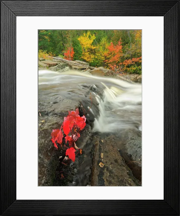 Framed Print : Rosseau Falls Rosseau, Ontario, Canada