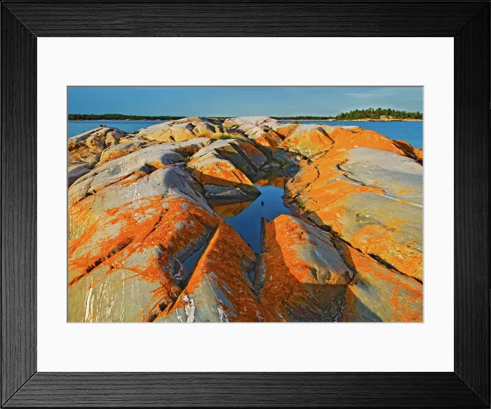 Framed Print : orange lichens surround a pool on pre-cambrian rock on Georgian Bay South of Philip Edward Island near Killarney, Ontario, Canada Framed Print : orange lichens surround a pool on pre-cambrian rock on Georgian Bay South of Philip Edward Island near Killarney, Ontario, Canada