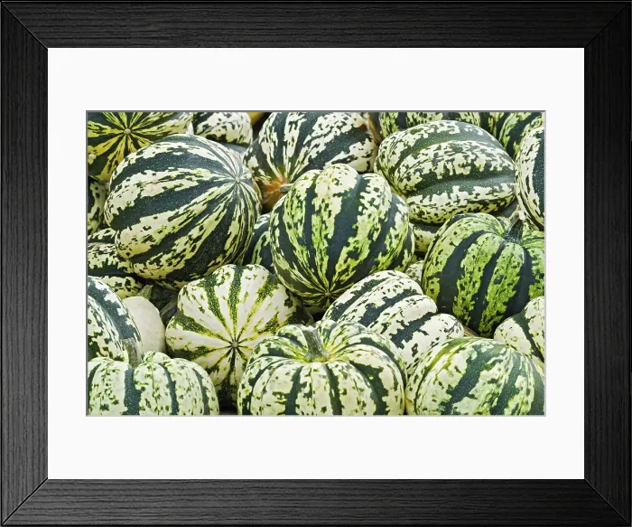 Framed Print : squashes at roadside market near Collingwood, Ontario, Canada Framed Print : squashes at roadside market near Collingwood, Ontario, Canada