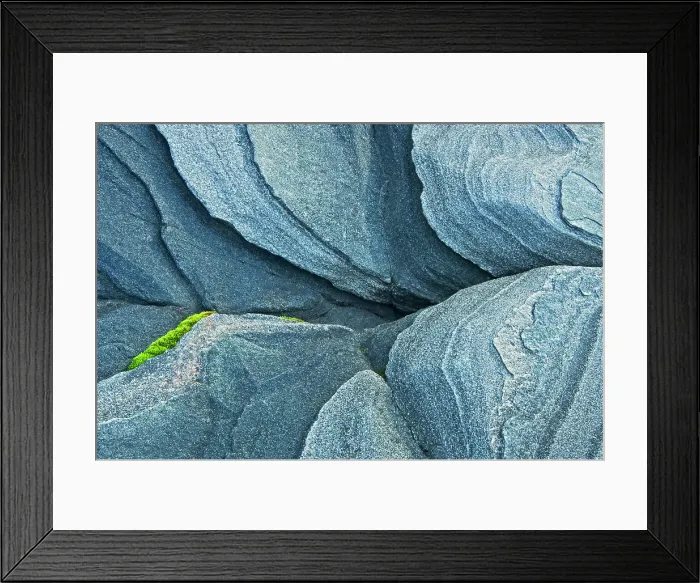 Framed Print : Moss and pre-cambrian shield rock. Killbear Provincial Park, Ontario, Canada