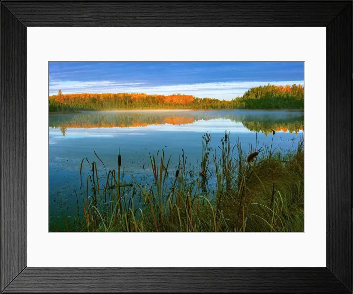 Framed Print : Morning fog in autumn, Duck Mountain Provincial Park, Manitoba, Canada Framed Print : Morning fog in autumn, Duck Mountain Provincial Park, Manitoba, Canada
