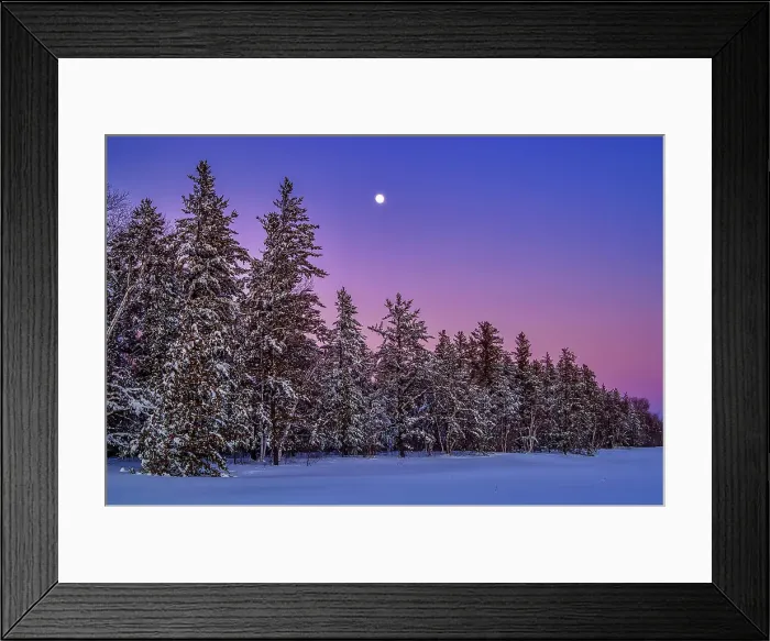 Framed Print : Full moon rising over the boreal forest in winter, Belair Provincial Forest, Manitoba, Canada Framed Print : Full moon rising over the boreal forest in winter, Belair Provincial Forest, Manitoba, Canada