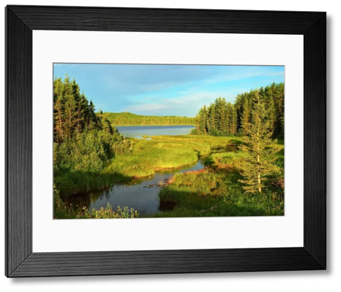 Framed Print : Marge Lake in the boreal forest, Duck Mountain Provincial park, Manitoba, Canada Framed Print : Marge Lake in the boreal forest, Duck Mountain Provincial park, Manitoba, Canada